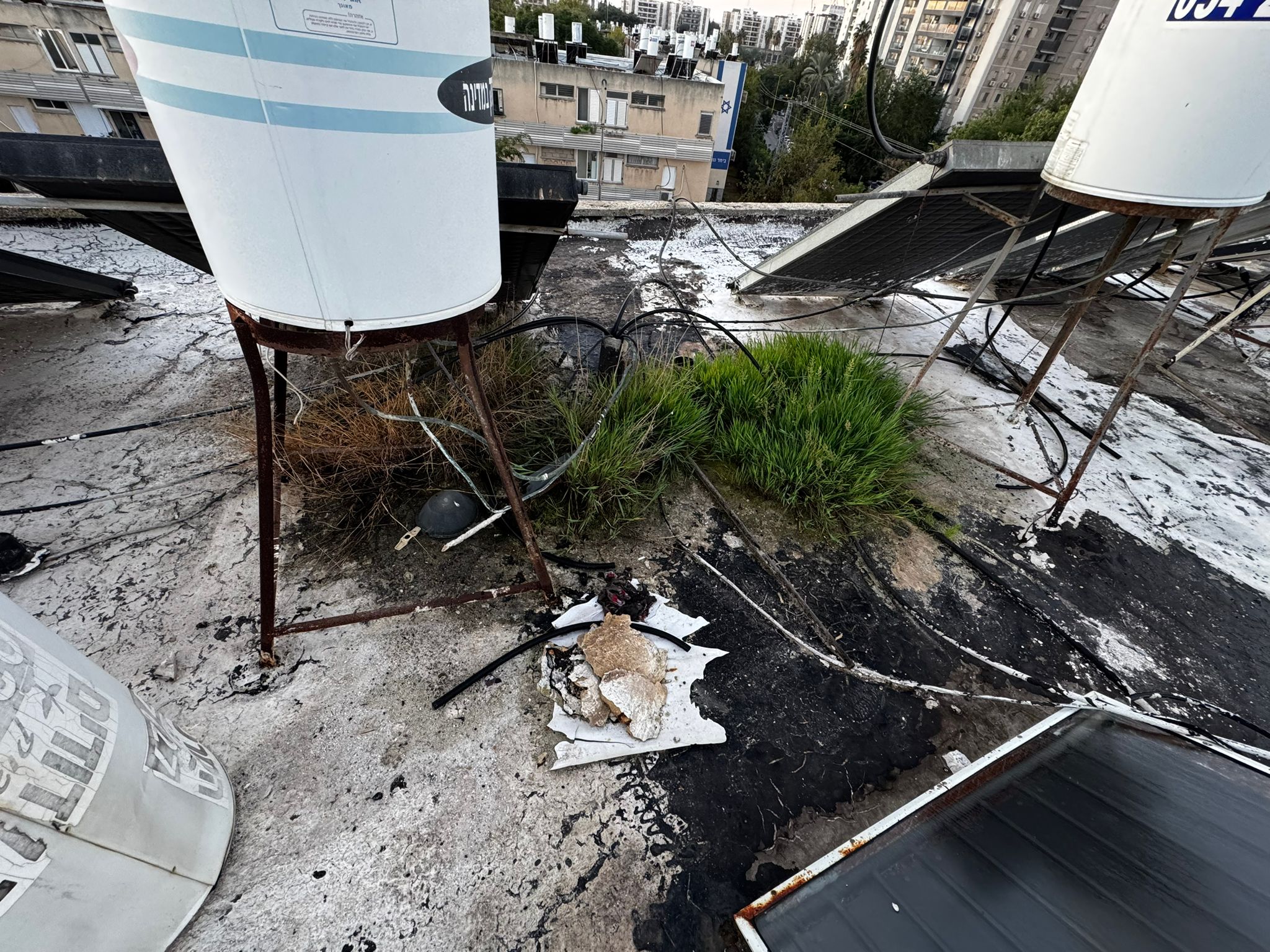 צמחייה ובלאי חמור בשכבות האיטום